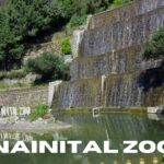 Nainital zoo